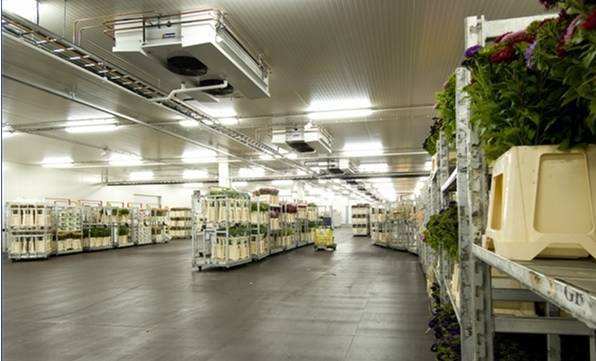 寧波建冷庫(kù)多少錢一立方？每立方能存多少貨物